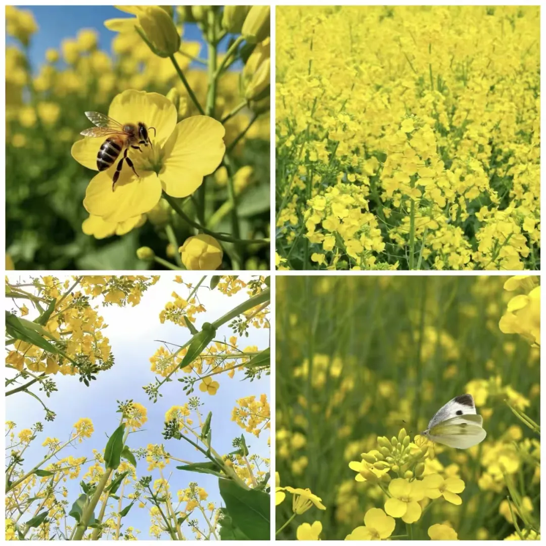 301774837916118175.png b4af2f493d42ba1334175b7ff7571a50.png