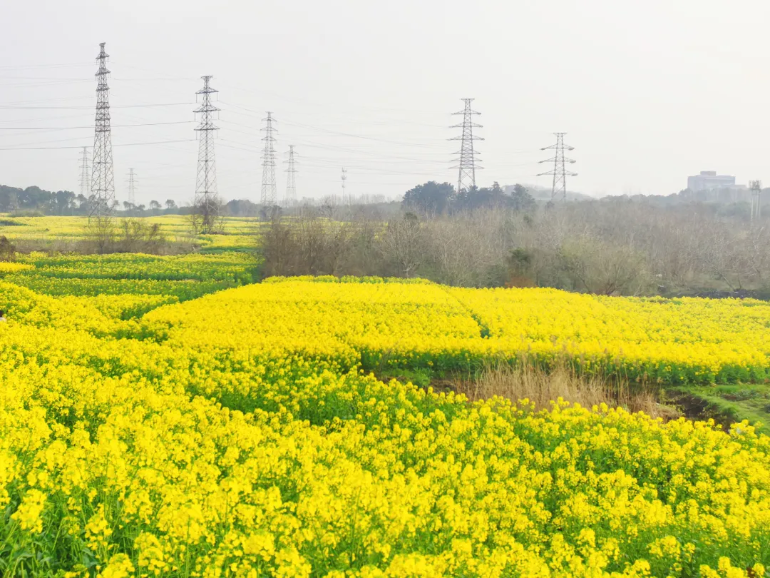 301774837931197411.png ba42ffd46c8e8902c07c6a981a01a519.png